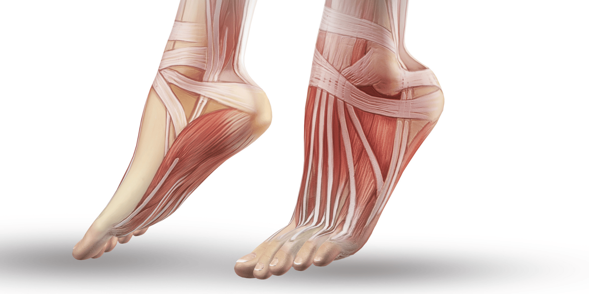 Topuk Dikeninin Belirtisi Nasıl Ayırt Edilir? Plantar Fasiit ve Benzer Hastalıkların Farkları