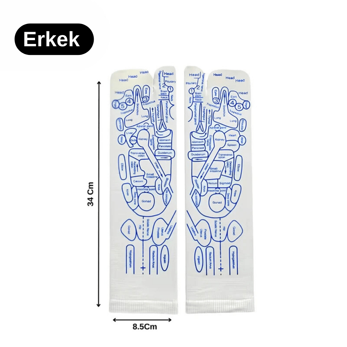 Refleksoloji Çorapı - Beyaz | Lucisumbra