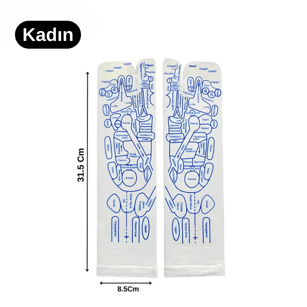 Refleksoloji Çorapı - Beyaz | Lucisumbra