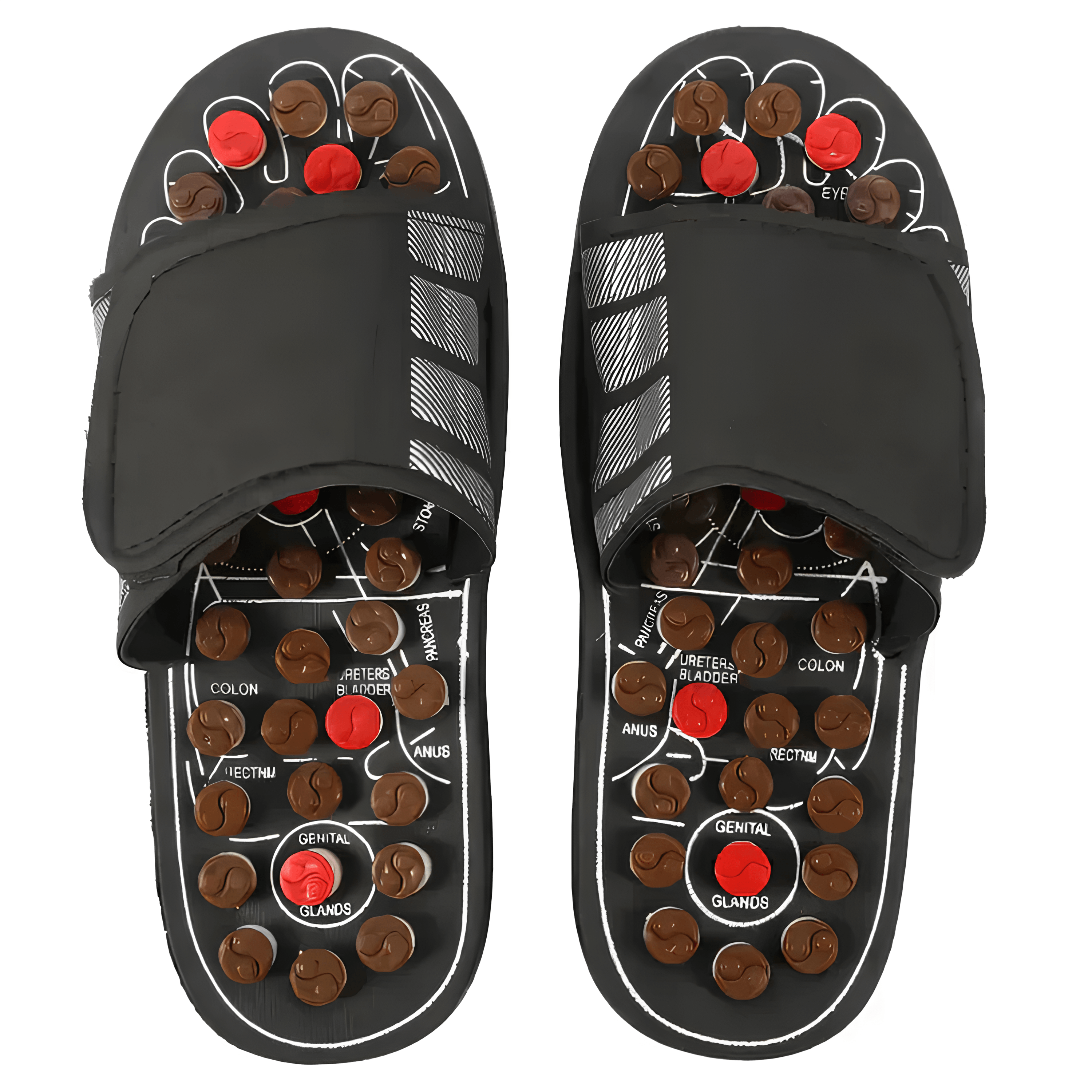 Refleksoloji Noktalı Akupunktur Terlik - Siyah | Lucisumbra