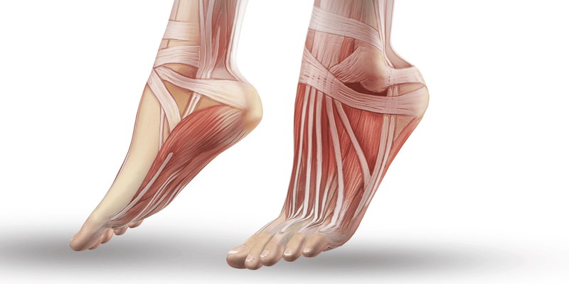 Topuk Dikeninin Belirtisi Nasıl Ayırt Edilir? Plantar Fasiit ve Benzer Hastalıkların Farkları